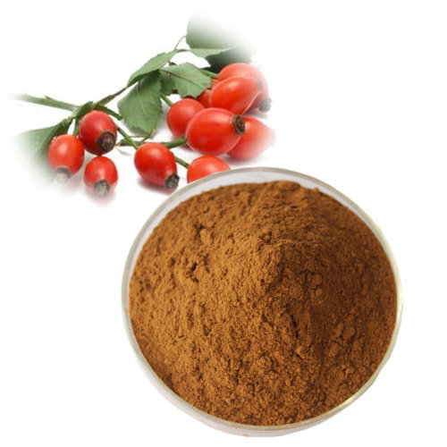 Сухой сок Шиповника (пудра)  