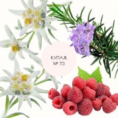 Купаж №73 CO2 экстракт омолаживающий (водорастворимый) 