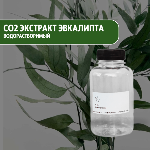СО2 экстракт Эвкалипта водорастворимый купить