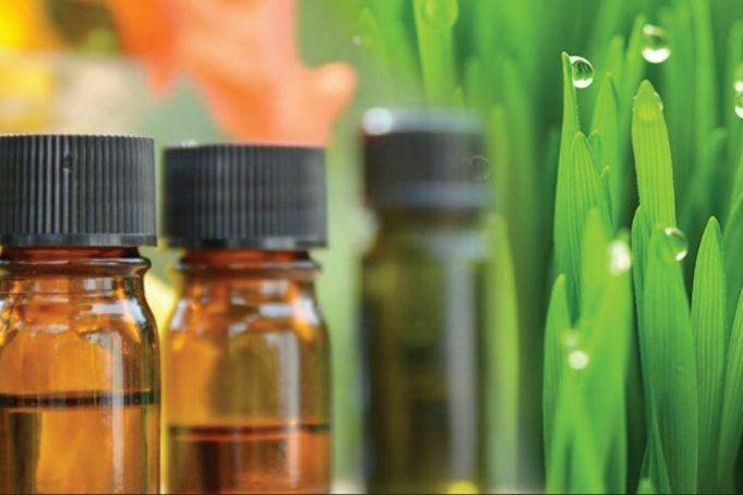 Эфирное масло Пальмарозы  